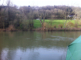 PEG 46 Pictures